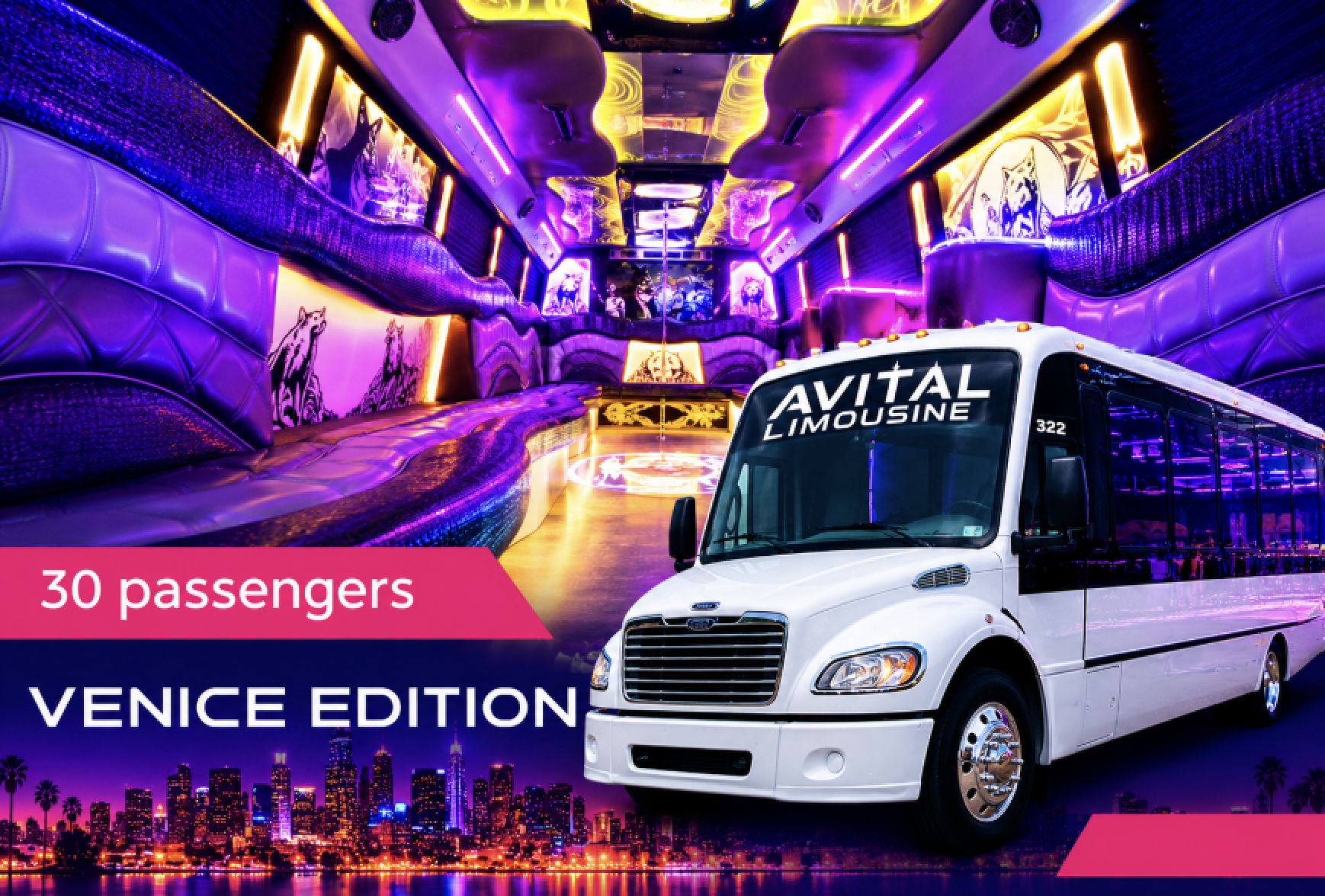 Chicago Party Bus Venice Edition